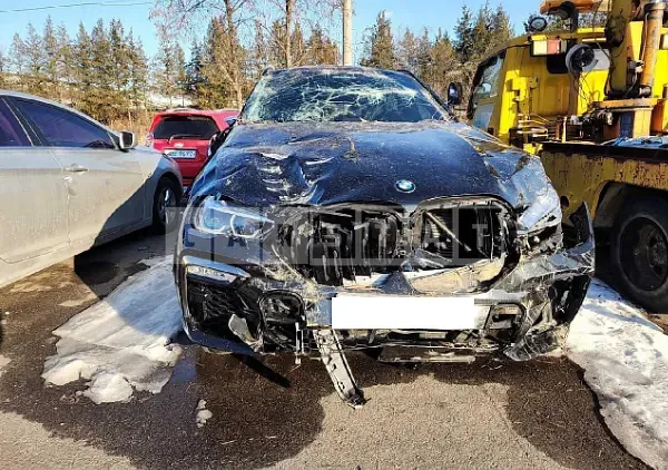 Photo 2 of 16: 2020 BMW X6 M50i, VIN WBACY8105L9D33488 — Korean insurance auction