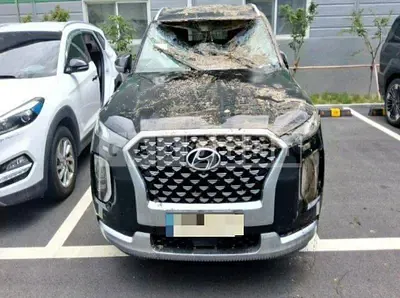 Photo 1 of 16: 2021 Hyundai Palisade 2.2 — Korean insurance auction