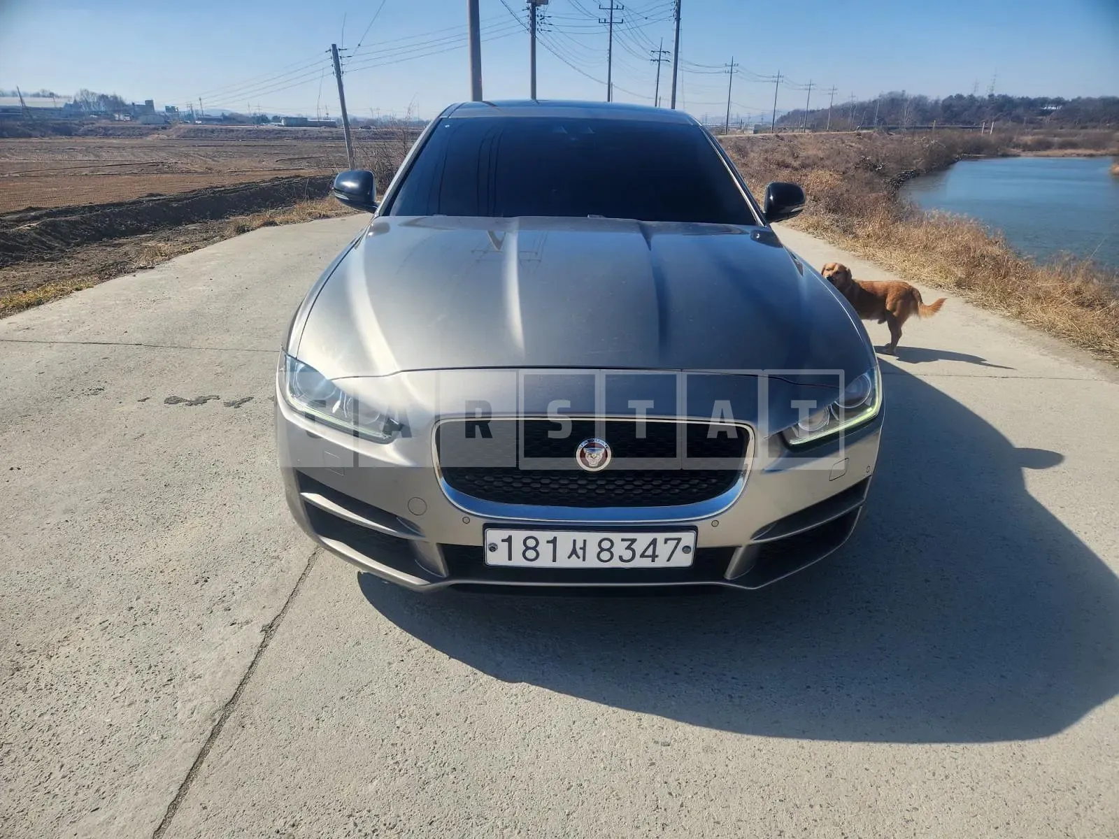 Photo 2 of 5: 2018 Jaguar XE 2.0 20d Prestige, VIN SAJAB4BN9JCP40677 — Korean insurance auction