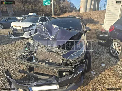 2019 Stinger stinger