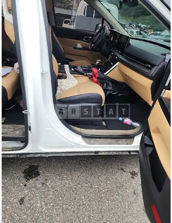 Photo 2 of 10: 2023 Kia Carnival — Korean insurance auction
