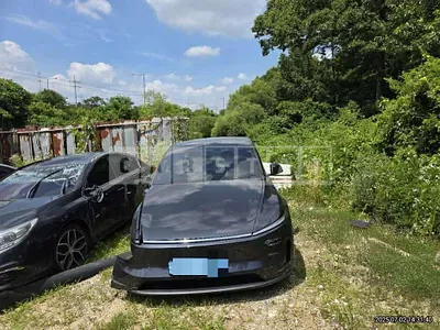 Photo 1 of 21: 2025 Tesla Model Y RWD — Korean insurance auction