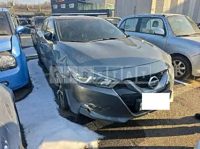 Photo 1 of 16: 2017 Nissan Maxima — Korean insurance auction