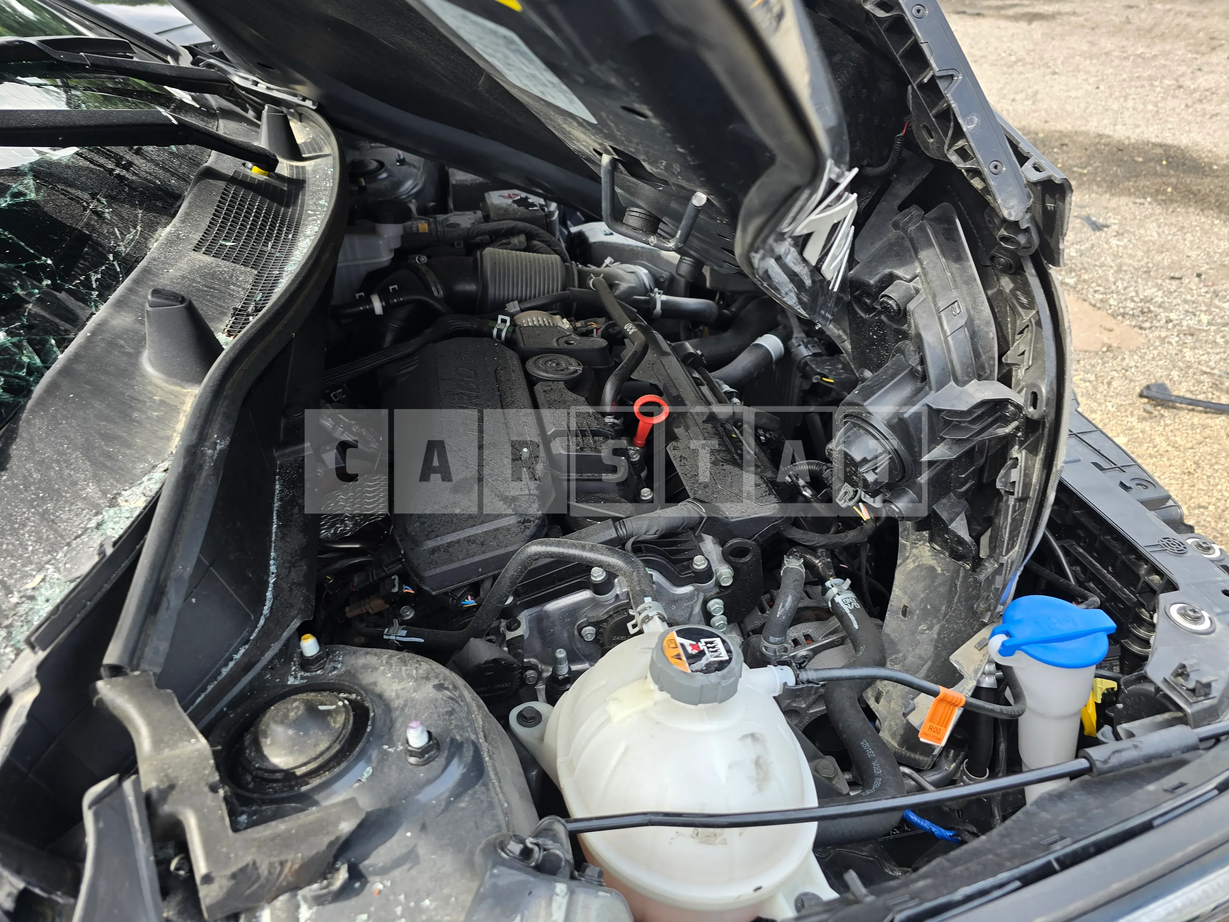 Photo 2 of 21: 2024 Kia Sportage — Korean insurance auction