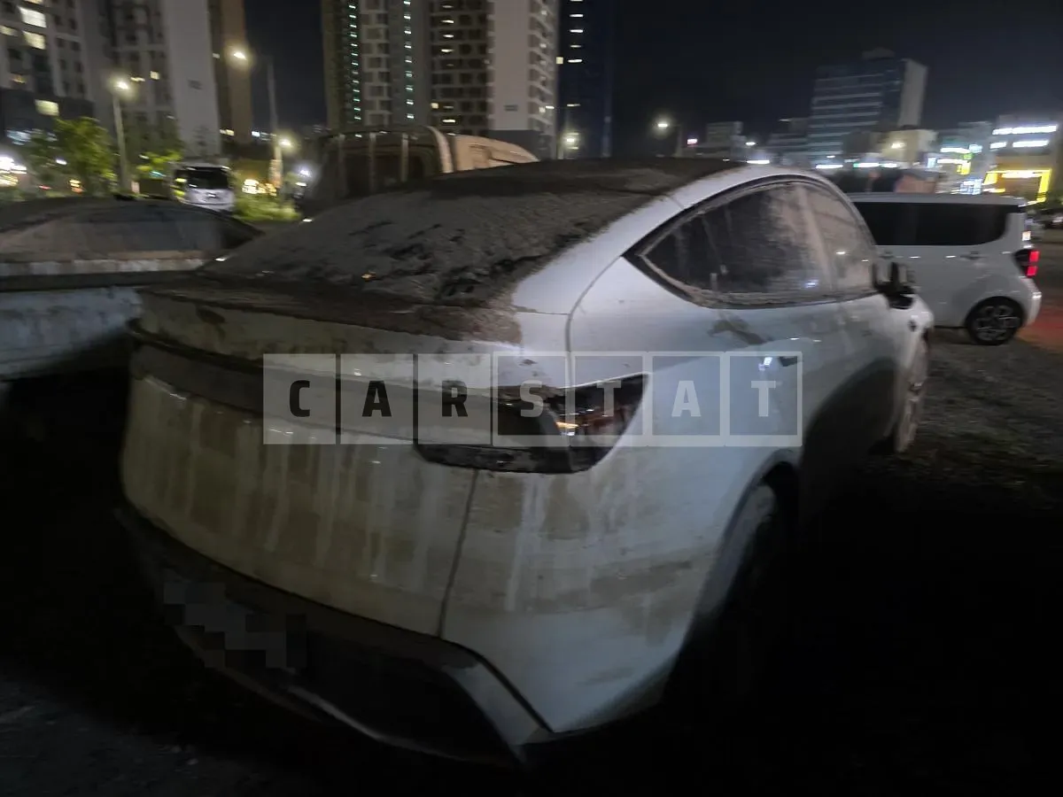 Photo 2 of 5: 2025 Tesla Model Y RWD — Korean insurance auction