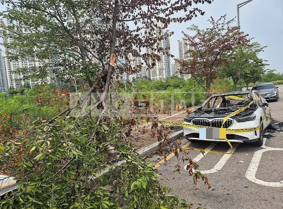Photo 2 of 16: 2024 BMW 520i — Korean insurance auction