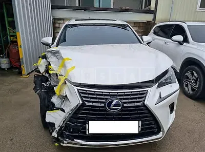 Photo 1 of 5: 2019 Lexus NX300h, VIN JTJBJRBZ9K2119465 — Korean insurance auction