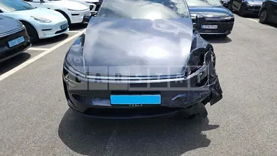 2025 Tesla Model Y RWD