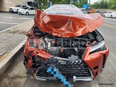 2022 Lexus UX300e