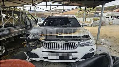 Photo 1 of 15: 2016 BMW X3 xDrive30d — Korean insurance auction