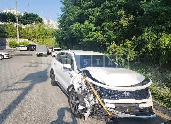 Photo 2 of 22: 2021 Kia Sorento — Korean insurance auction