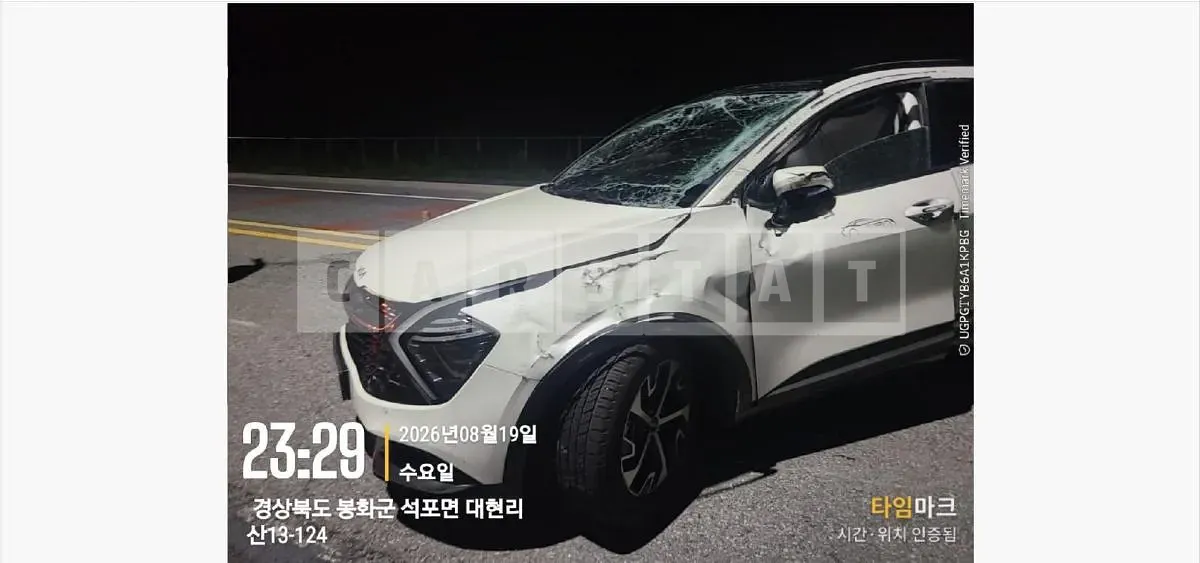 Photo 2 of 6: 2022 Kia Sportage 1.6 (Hybrid) — Korean insurance auction