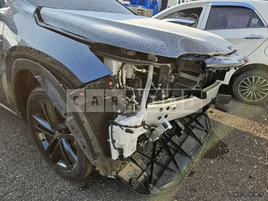 Photo 2 of 50: 2024 Lexus NX350h, VIN JTJGKAEZ4R2019140 — Korean insurance auction
