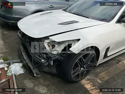 2021 Stinger stinger