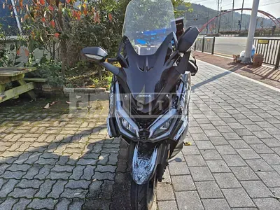 Photo 1 of 11: 2024 Honda Motorcycle Forza 350 — Korean insurance auction
