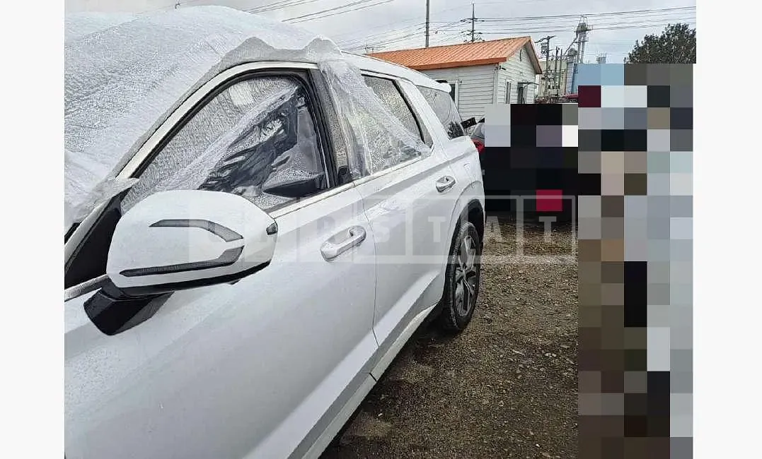 Photo 2 of 22: 2022 Hyundai Palisade Diesel — Korean insurance auction