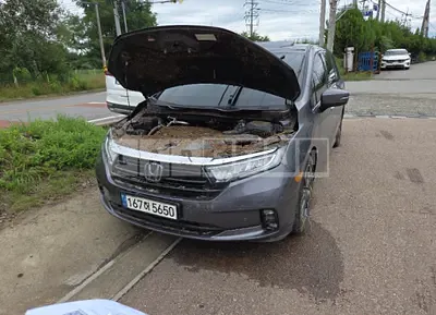 2022 Honda ODYSSEY