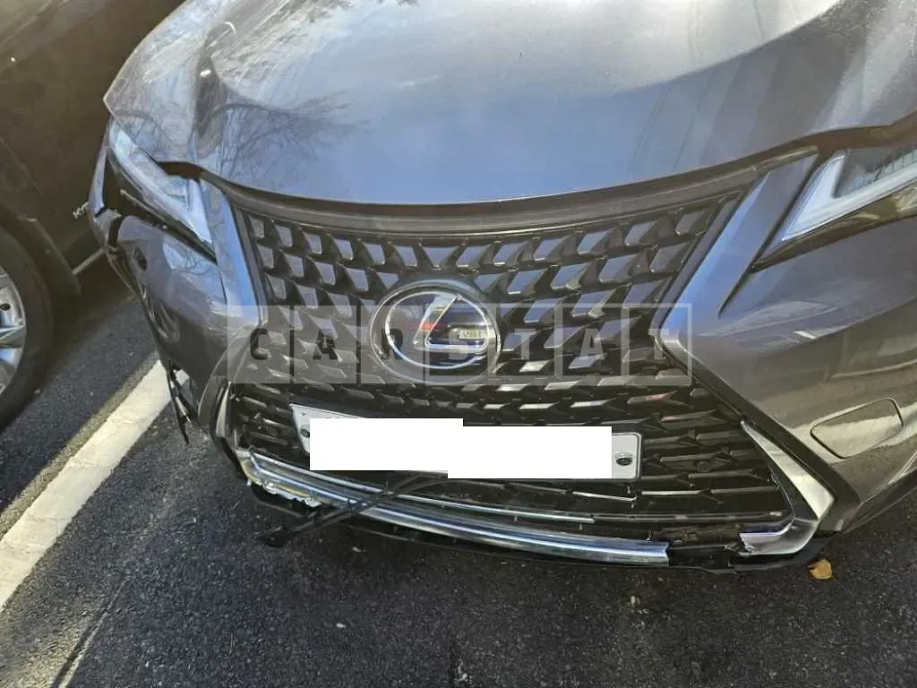 Photo 2 of 19: 2019 Lexus Ux 250h 2WD — Korean insurance auction