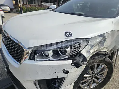 2015 Sorento Sorento