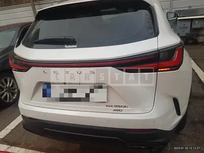 Photo 1 of 17: 2024 Lexus NX350h — Korean insurance auction