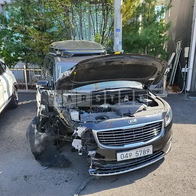 Photo 1 of 7: 2017 Kia All New Carnival 9-Seater — Korean insurance auction