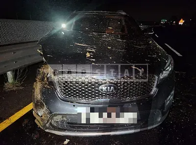 Photo 1 of 10: 2016 Kia Sorento — Korean insurance auction