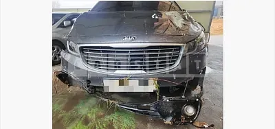 Photo 1 of 28: 2017 Kia Carnival Limousine — Korean insurance auction