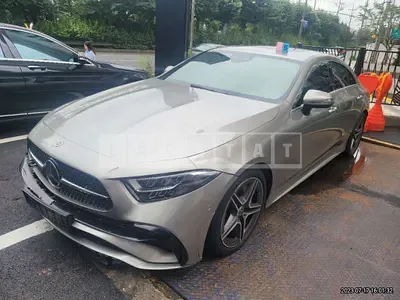 2022 Mercedes-Benz cls300d