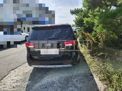 Photo 1 of 9: 2018 Kia Carnivals — Korean insurance auction