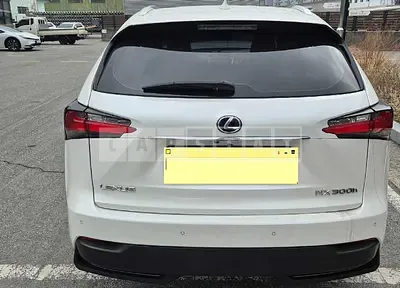 Photo 1 of 16: 2016 Lexus NX300h — Korean insurance auction