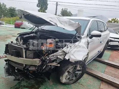 Photo 1 of 53: 2022 Kia Sorento HEV — Korean insurance auction