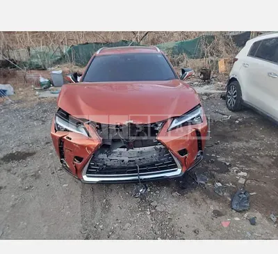 Photo 1 of 12: 2019 Lexus UX250h AWD — Korean insurance auction
