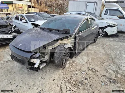 2025 Tesla Model 3 RWD