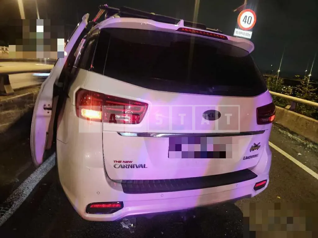 Photo 2 of 4: 2019 Kia Carnivals — Korean insurance auction