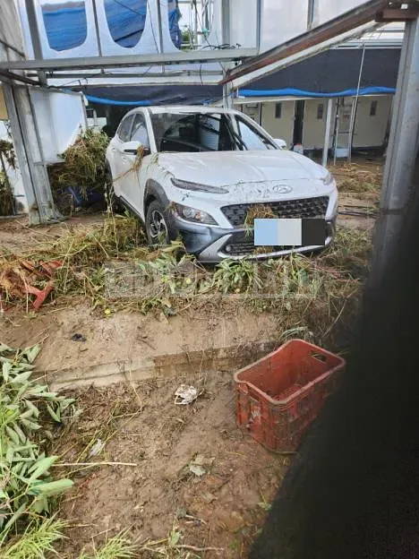 Photo 2 of 3: 2023 Hyundai Kona Hybrid — Korean insurance auction