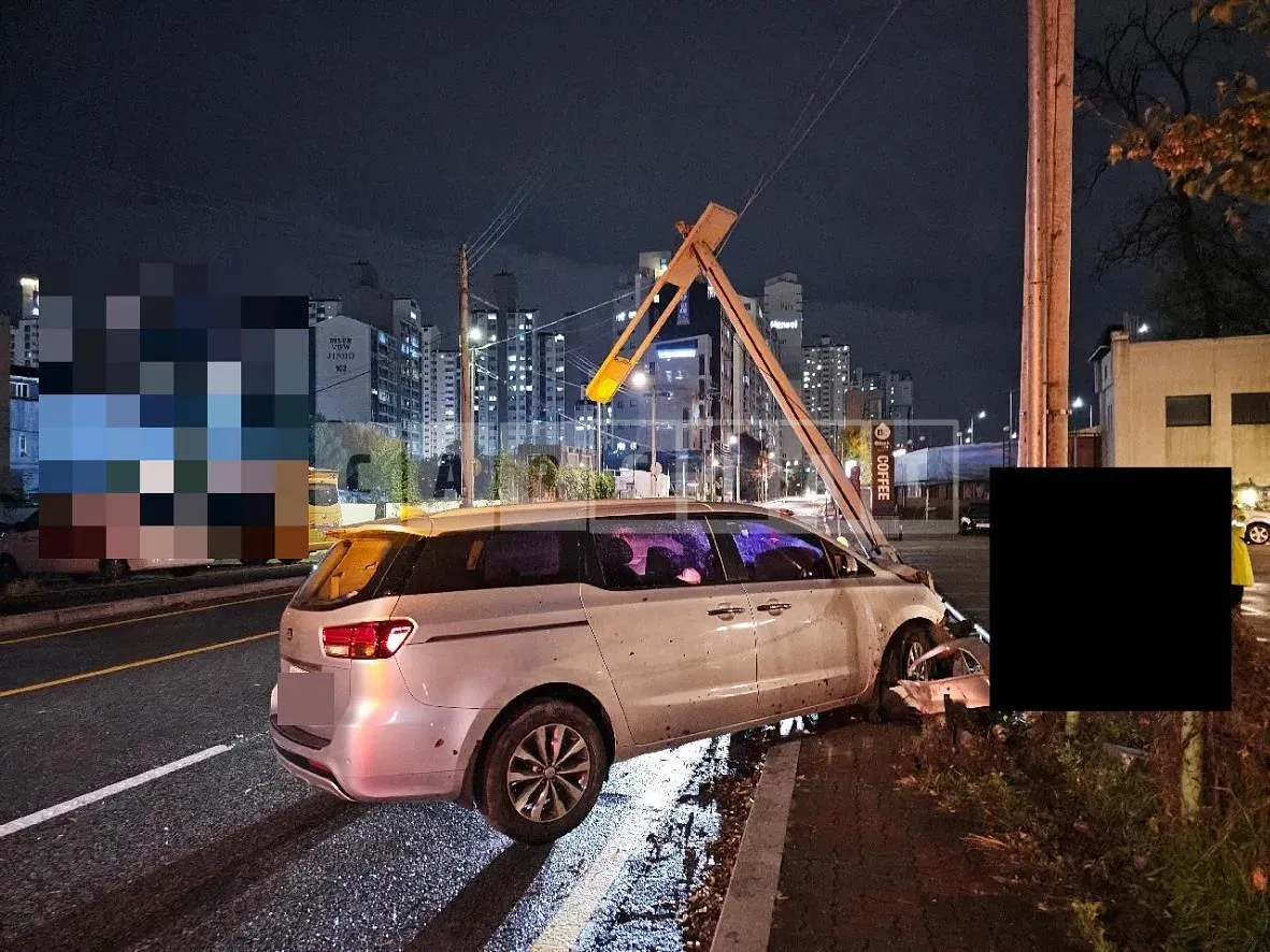 Photo 2 of 12: 2015 Kia Carnivals — Korean insurance auction