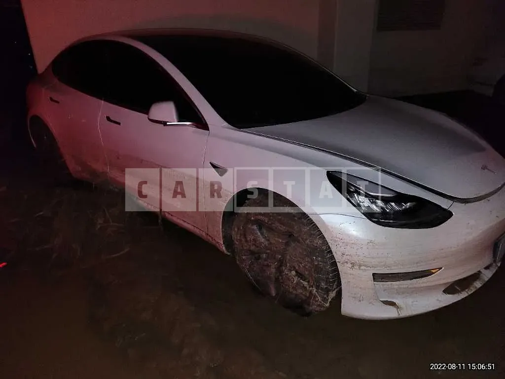 Photo 2 of 39: 2020 Tesla Model 3 Long Range, VIN 5YJ3E1EB9LF750825 — Korean insurance auction