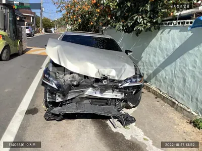 2019 lexus /lexus es 300h