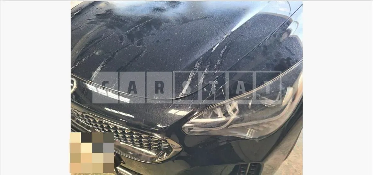 Photo 2 of 2: 2017 Kia (parts) Stinger Headlamp — Korean insurance auction