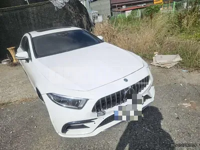 Photo 1 of 16: 2019 Mercedes-Benz CLS 400 d 4Matic — Korean insurance auction