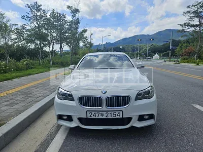 2015 BMW 520i