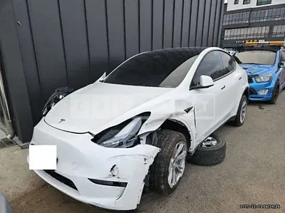 Photo 1 of 19: 2024 Tesla Model Y RWD — Korean insurance auction