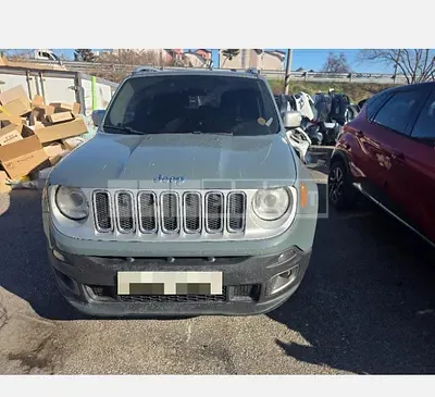 2017 Zip Renegade