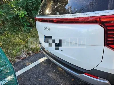 Photo 1 of 8: 2024 Kia Carnival 2.2 — Korean insurance auction