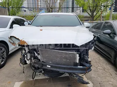 Photo 1 of 38: 2019 Hyundai Palisade — Korean insurance auction