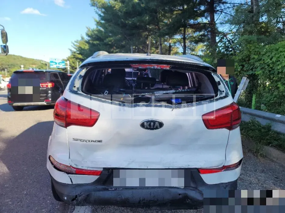 Photo 2 of 8: 2014 Kia Sportage 4WD — Korean insurance auction