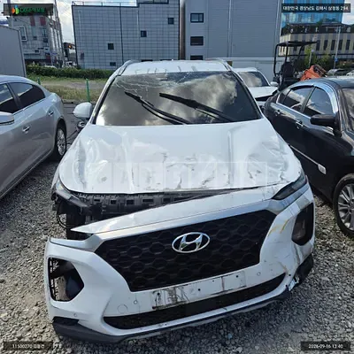 2019 Santa Fe Santa Fe