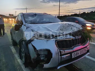 Photo 1 of 21: 2016 Kia Sportage, VIN KNAPN813BGK102901 — Korean insurance auction