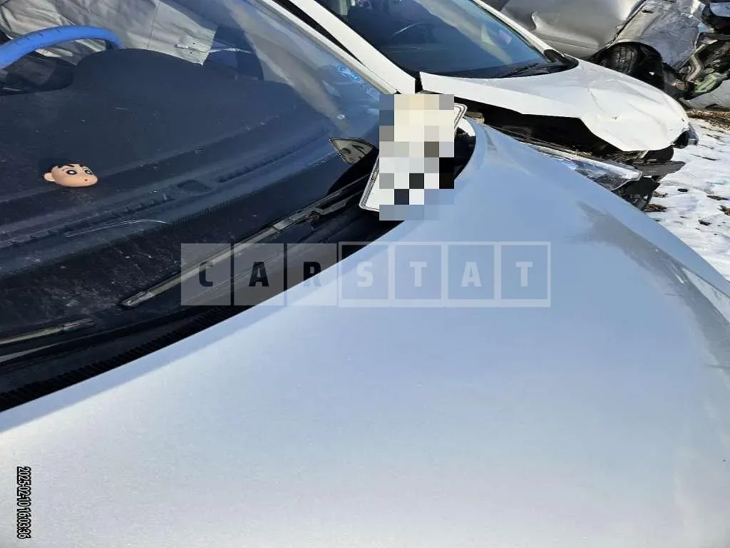 Photo 2 of 7: 2015 Kia Carnivals — Korean insurance auction