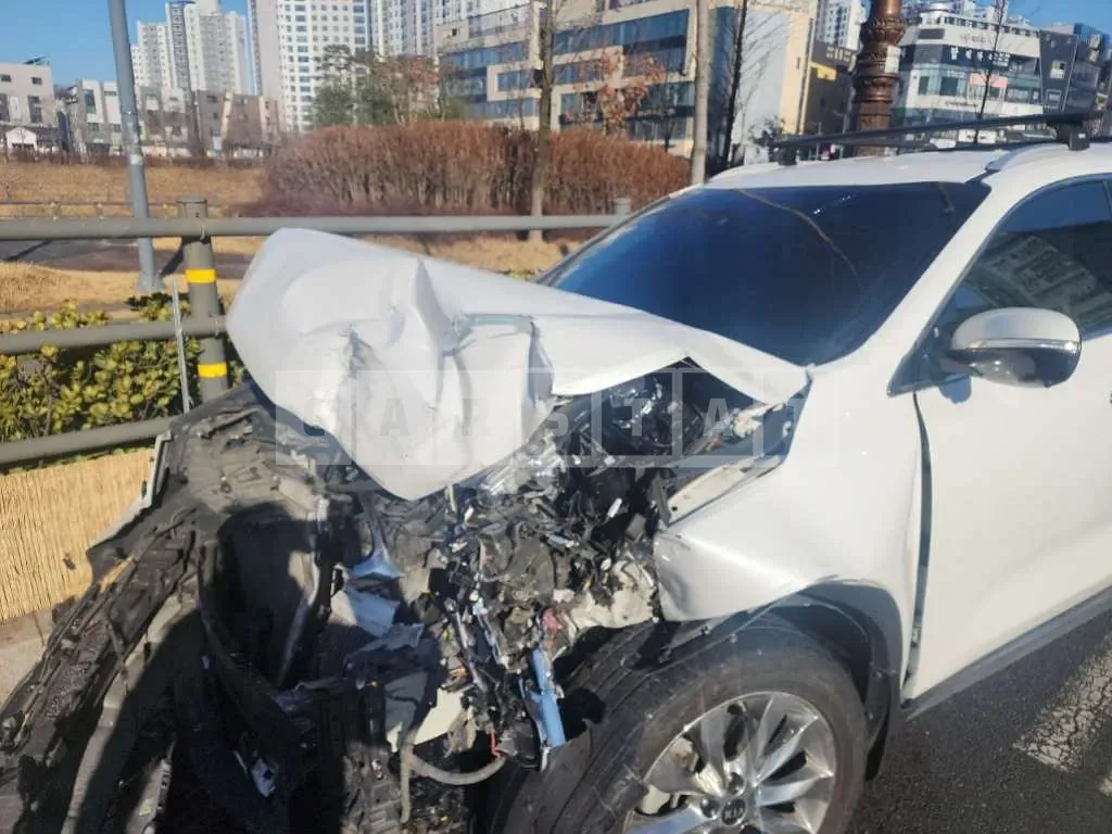 Photo 2 of 6: 2018 Kia Sorento — Korean insurance auction